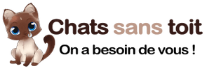 SOS Chats Sans Toit