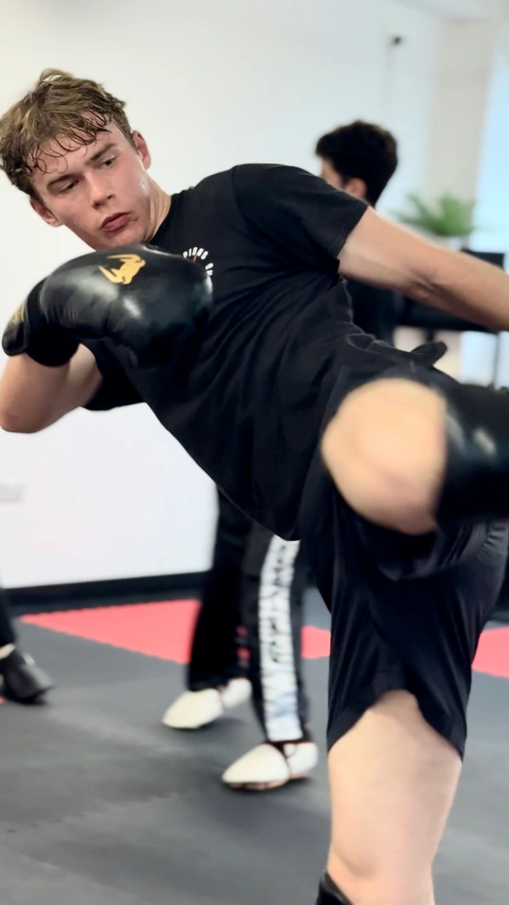 championsmartialarts.co.uk