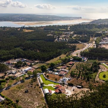 A tranquil aerial view of coastal countryside with forests and scattered houses.