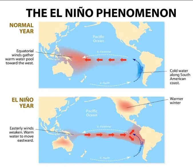 La Niña Phenomenon and Its Effects on the Indian Monsoon