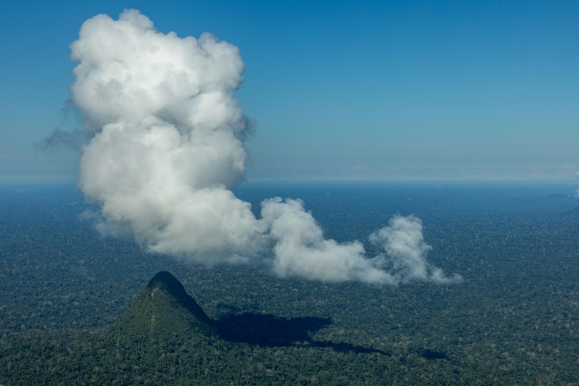 Sierra del Divisor National Park, Peruvian Amazon