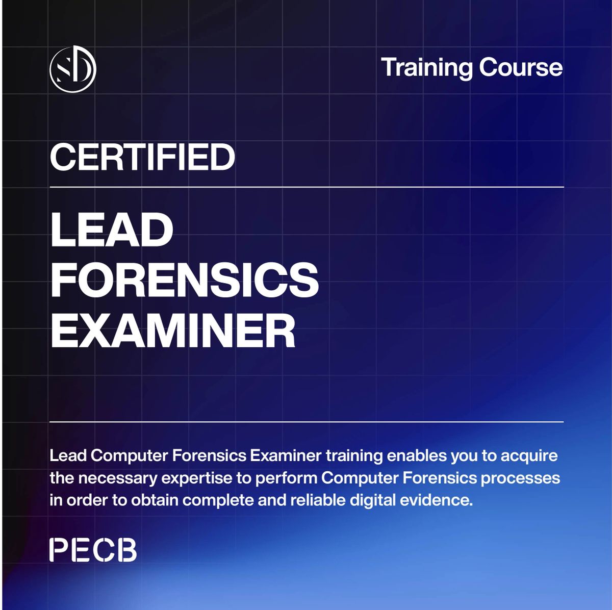Certified Computer Forensics Lead Forensics Examiner
