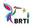 BRTI
