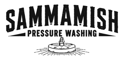 Sammamish Pressure Washing