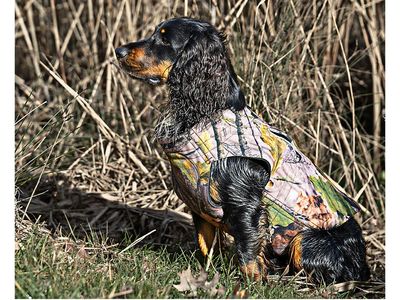 Working Gundog