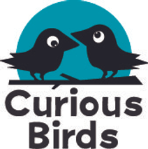 Curious Birds