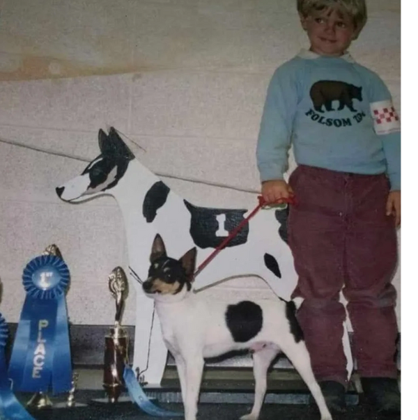 Boy with Rat Terrier at a dog show.