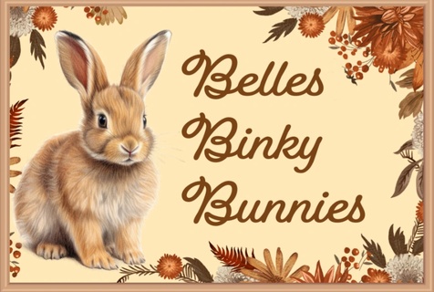 Belle's Binky Bunnies