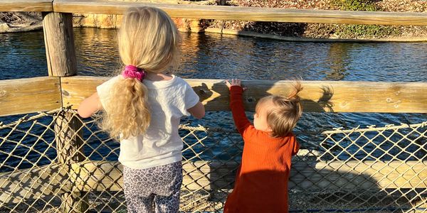 Two young children stand by a wooden fence looking at the water on a sunny day.