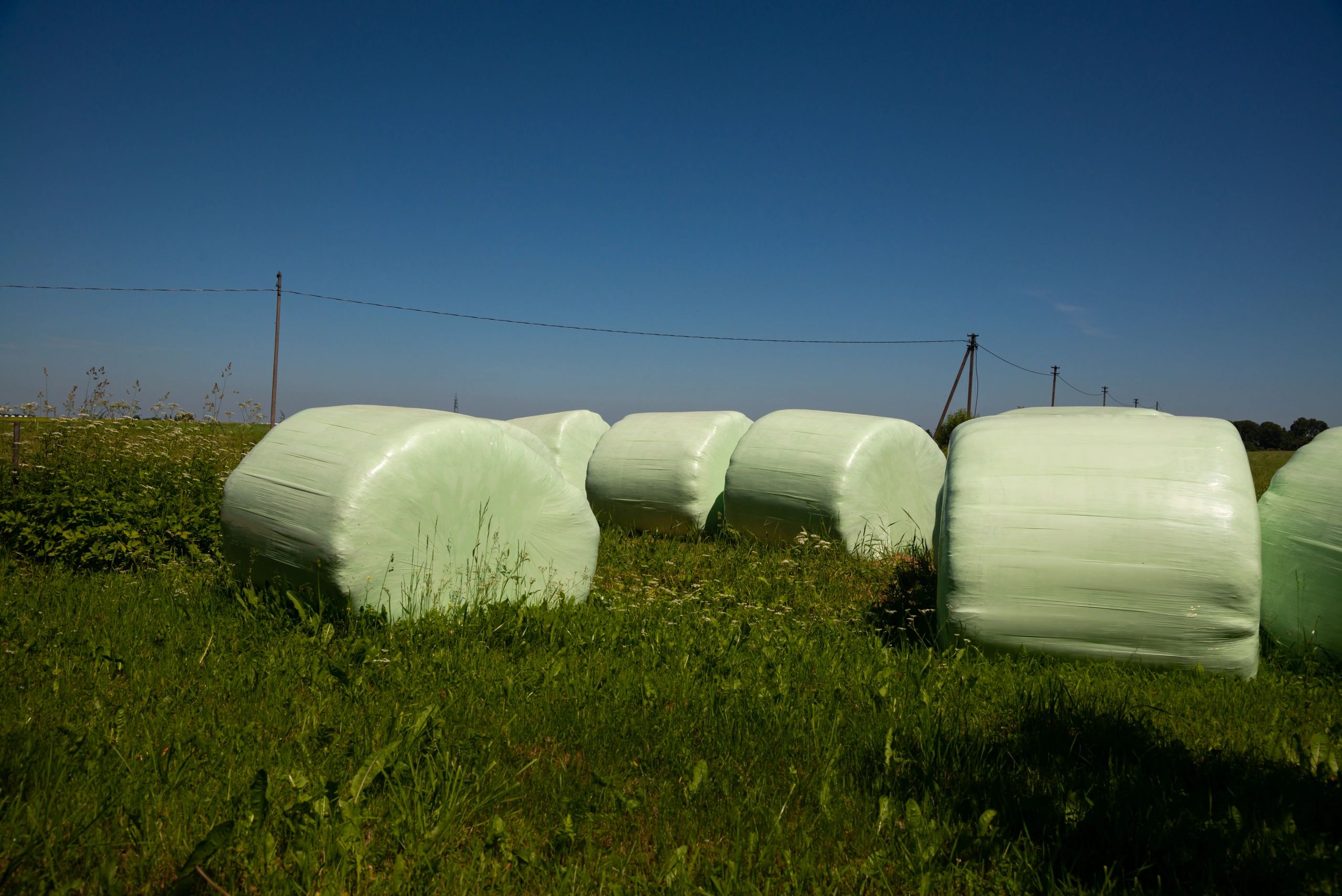 Crop Protection Solutions – AGROPRO Australia Pty Ltd