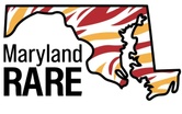 Maryland Rare