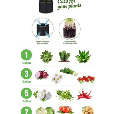 Plant care guide by gallon size with recommended plants and vegetables.