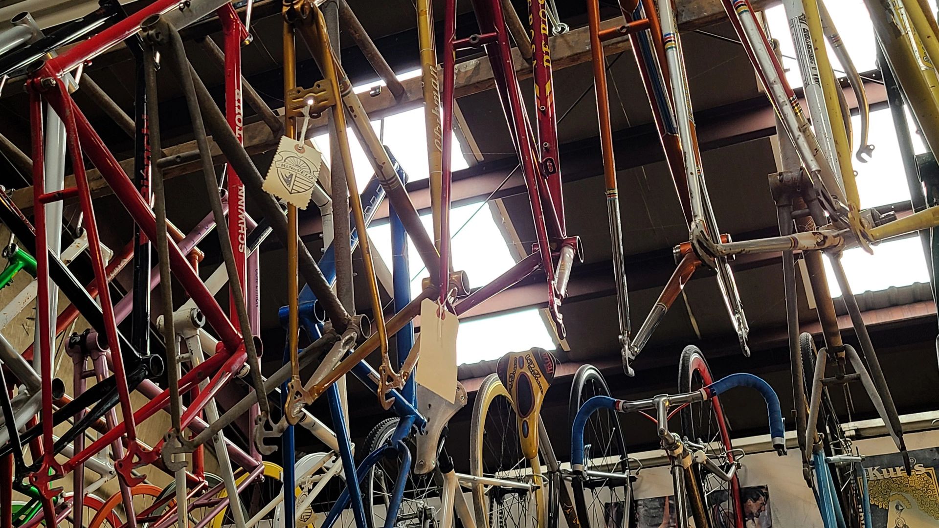 RiNoVELO Bicycle Bike Repair Denver, Denver Bike Shop