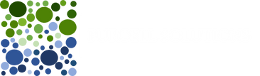 Purcell Solutions Ltd