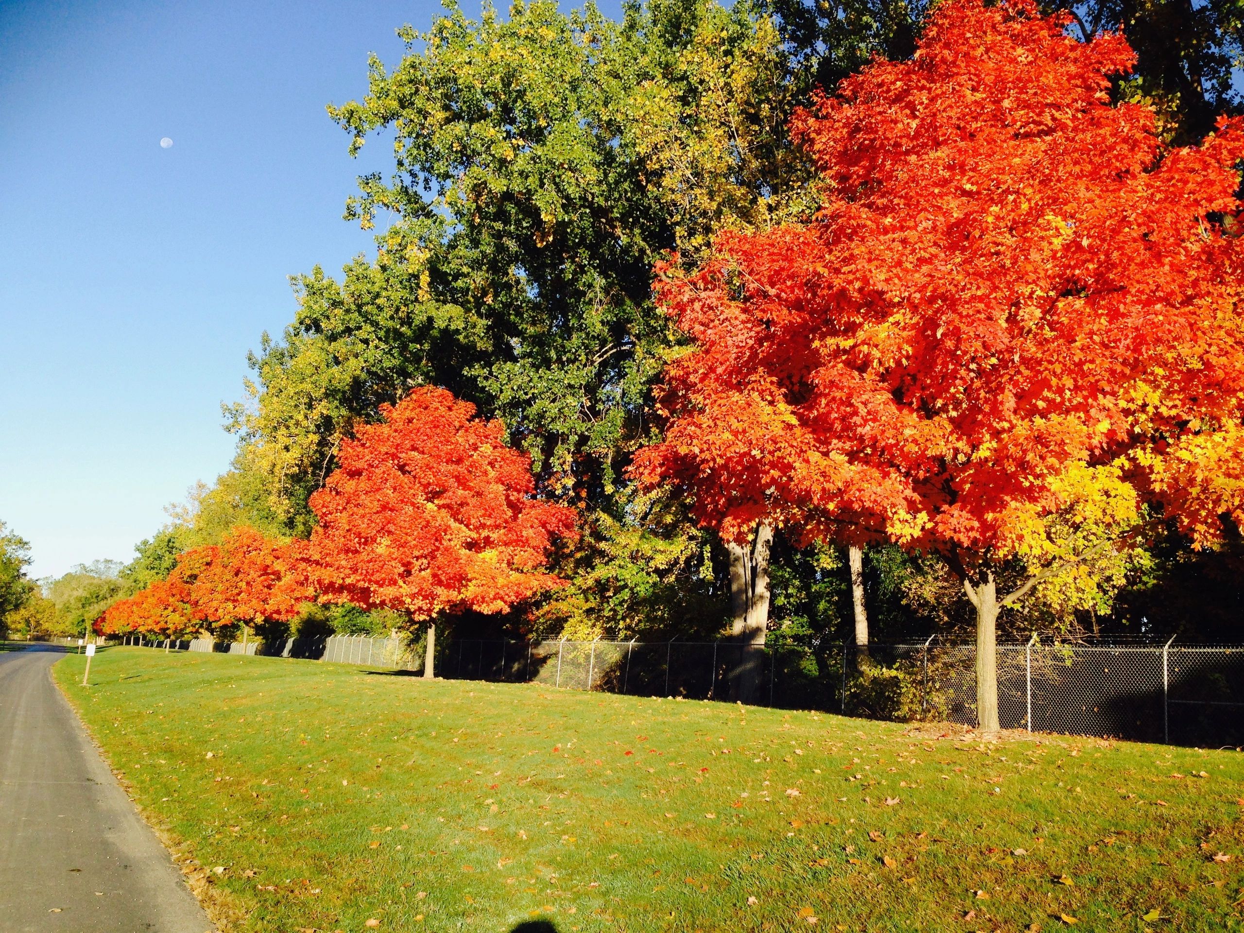 Leisure Lake Condominium Association