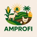 info@Amprofi.com