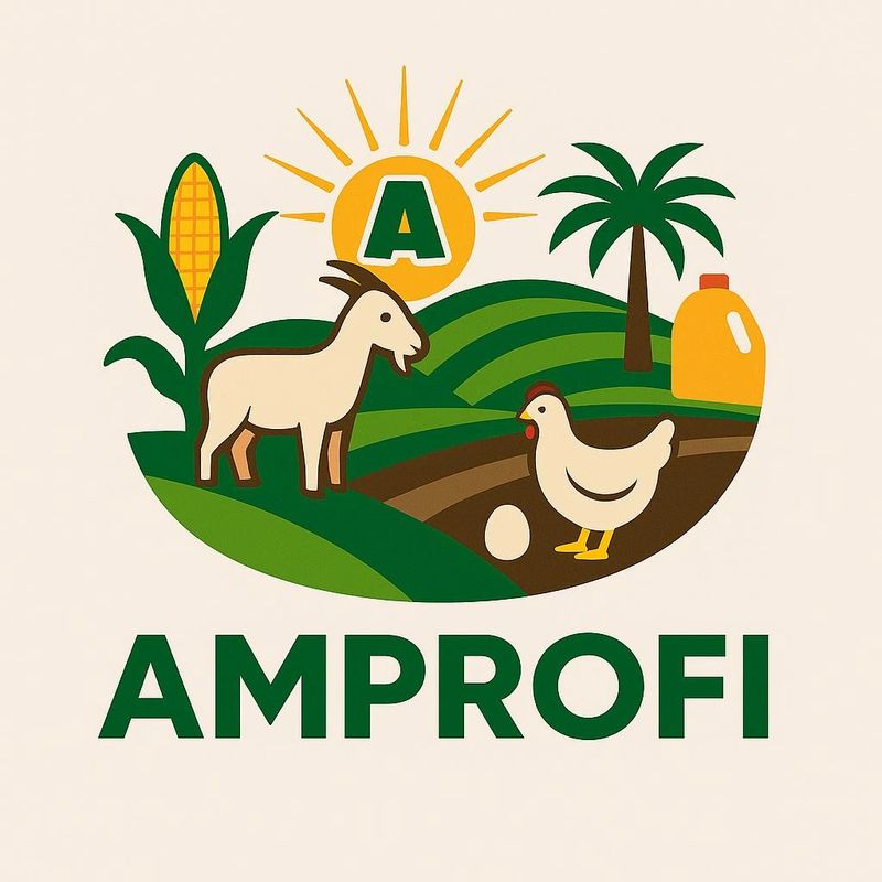 info@Amprofi.com's Logo