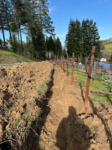 Trenching for a new irrigation system 