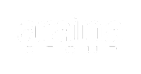 Araina Group