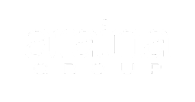 Araina Group