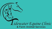 Tidewater Equine Clinic 

 Farm Animal Services