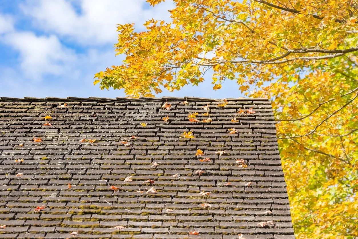 WJM Roofing — Roofing in Durham