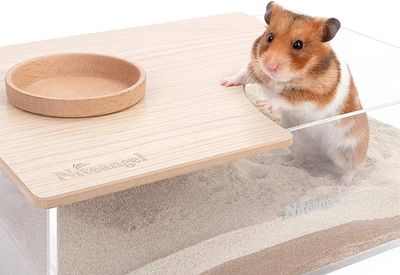 About Syrian Hamsters – Hubba-Hubba Hamstery