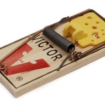 Classic wooden Victor mousetrap with metal spring.