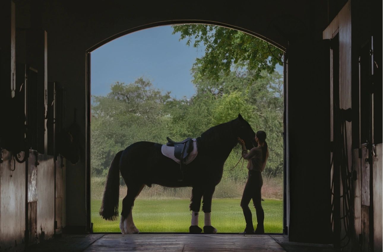 buy off plan property Dubai
Invest Dubai offplan
off plan real estate dubai
off plan emaar dubai uae