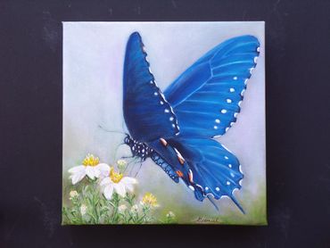 BLUE BUTTERFLY
         
        8x8

   Oil On Canvas
