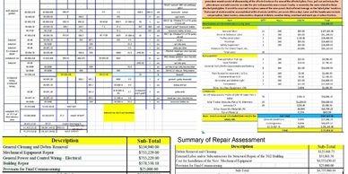Detailed repair assessment and cost breakdown for Alexis Plant Repair project.