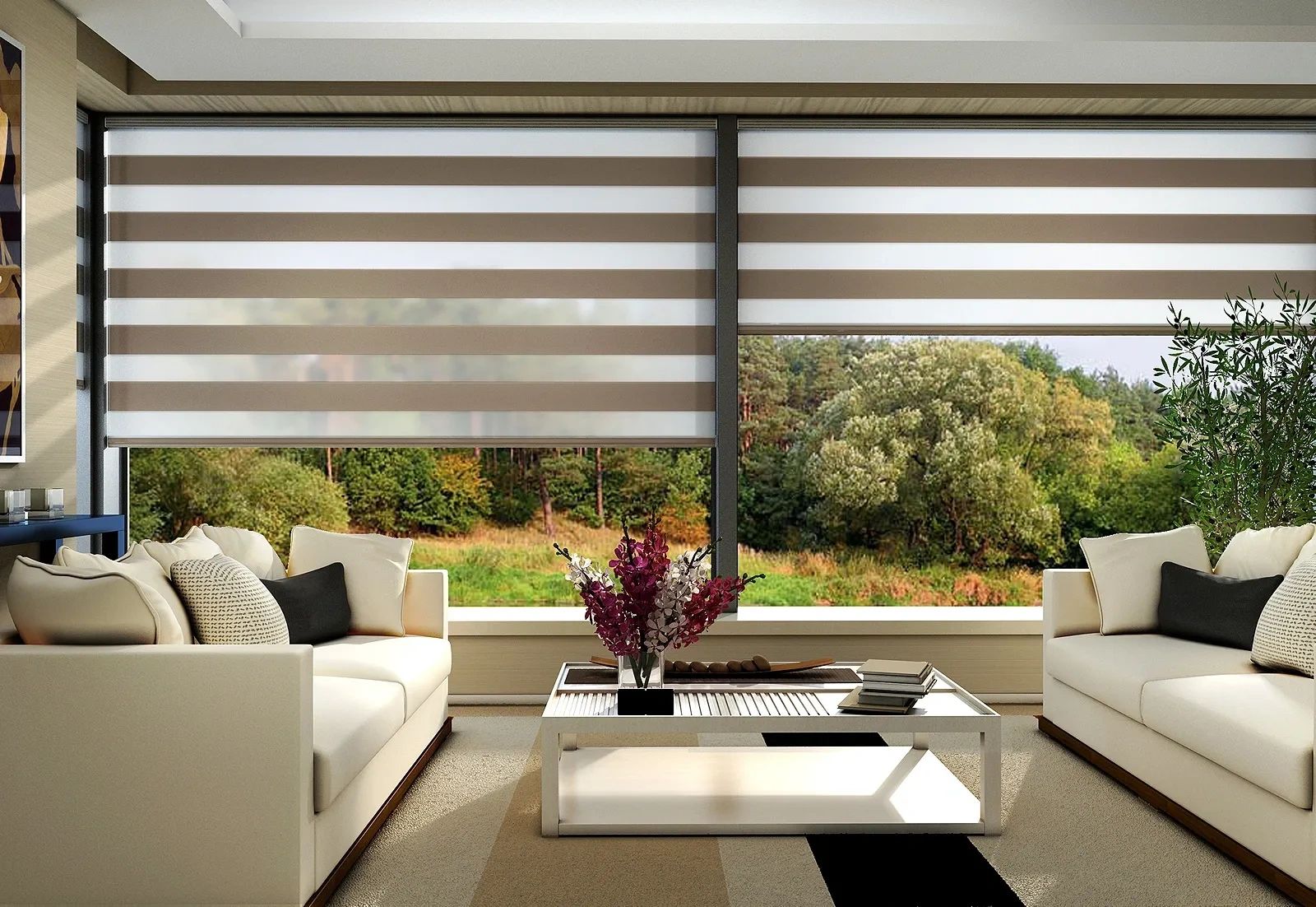 Zebrablinds.ca