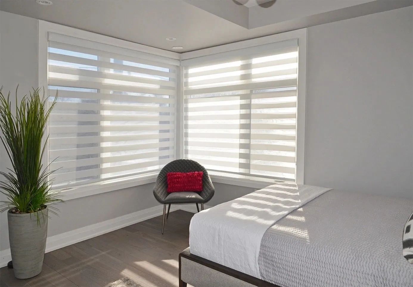 Zebra Blinds™ Official Site Amazing products & customer service