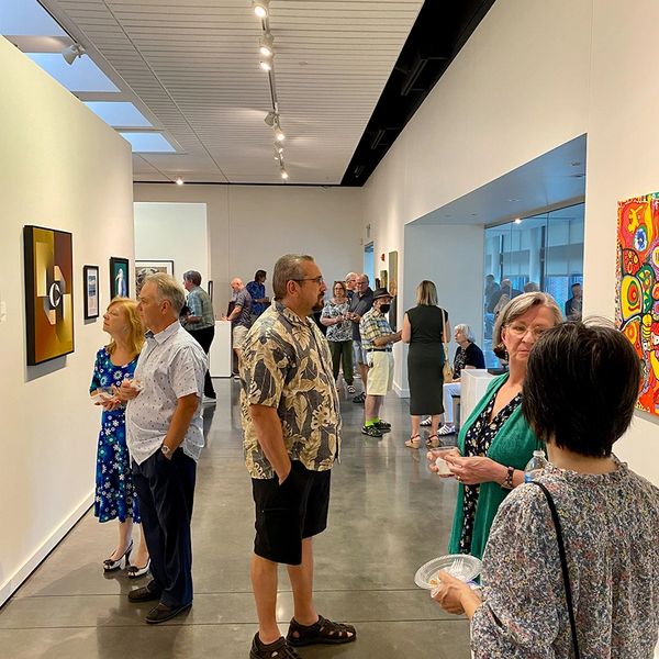 Visual Art League of Lewisville Art, Fine Art, Arts Organization