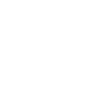 The Paedia Institution