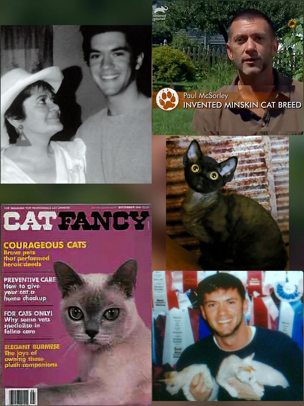 My story, through heartbreak, victory, the cast of cats and integral people who helped along the way