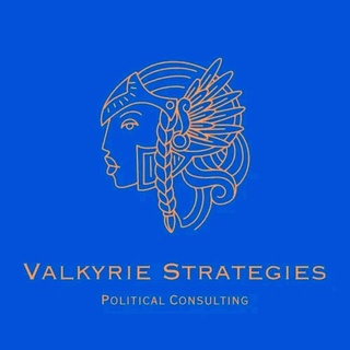 Valkyrie Strategies LLC