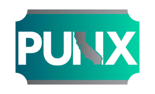PUNX LLC