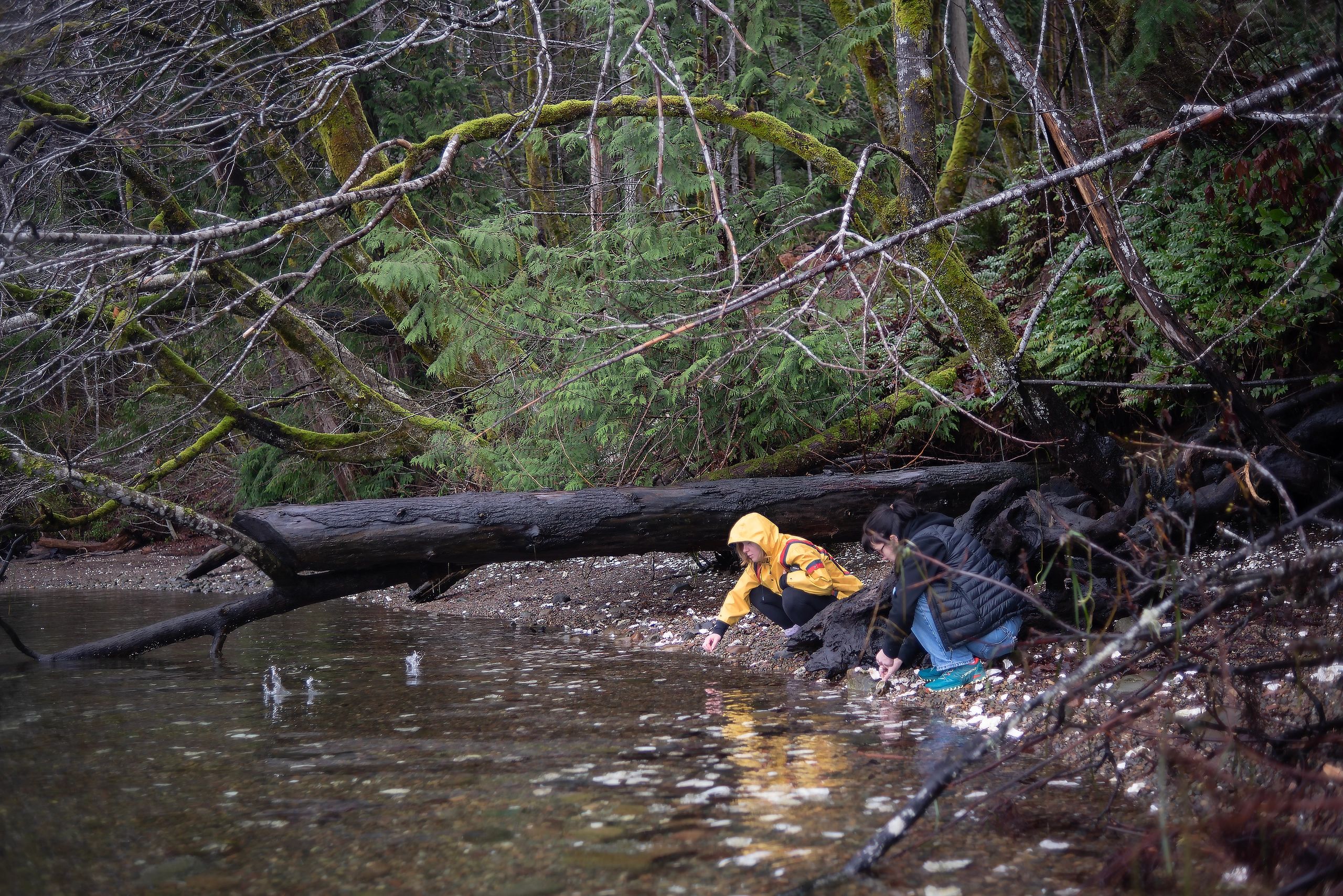Two people exploring the riverbank in the forest.