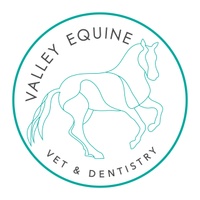 Valley Equine Vet & Dentistry Pty Ltd