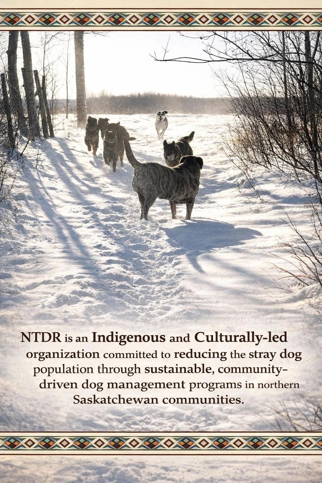 Northern Transitional Dog Rescue and Sanctuary