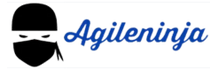 Agile Ninja Consulting