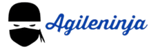 Agile Ninja Consulting