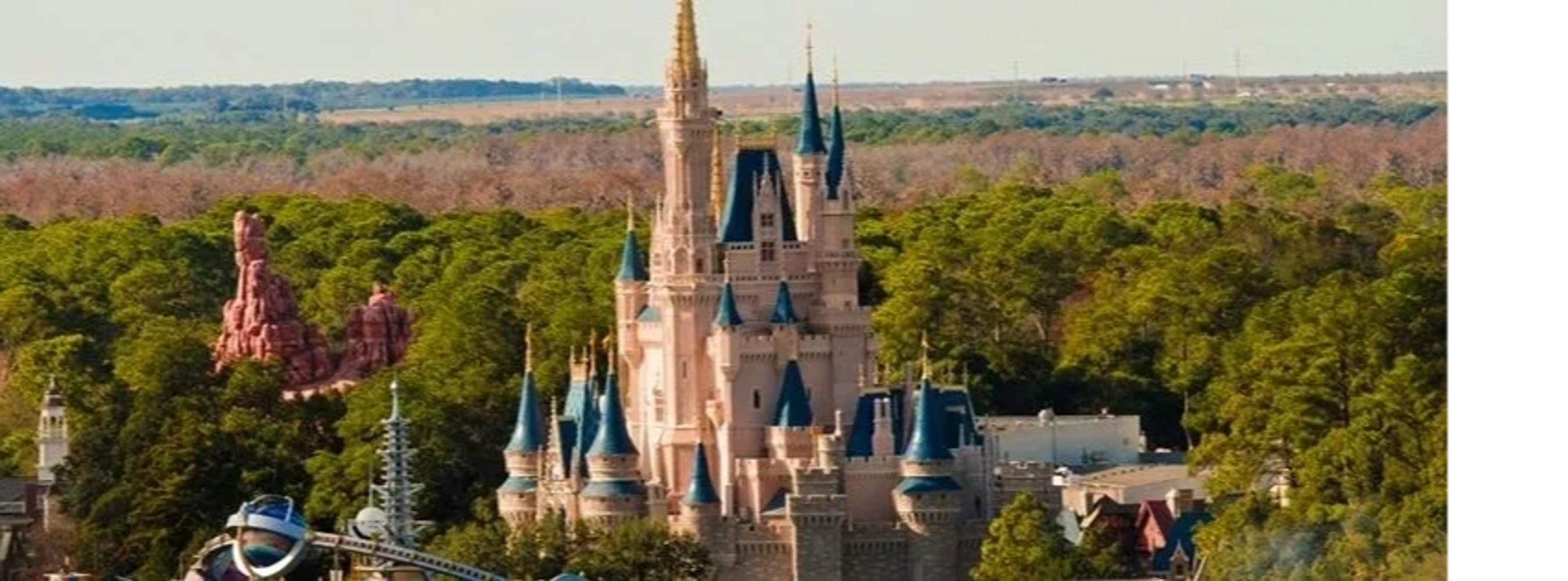 Photo courtesy of Disney Tourist Blog 
