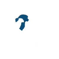 Ovaflo Genetics PLLC