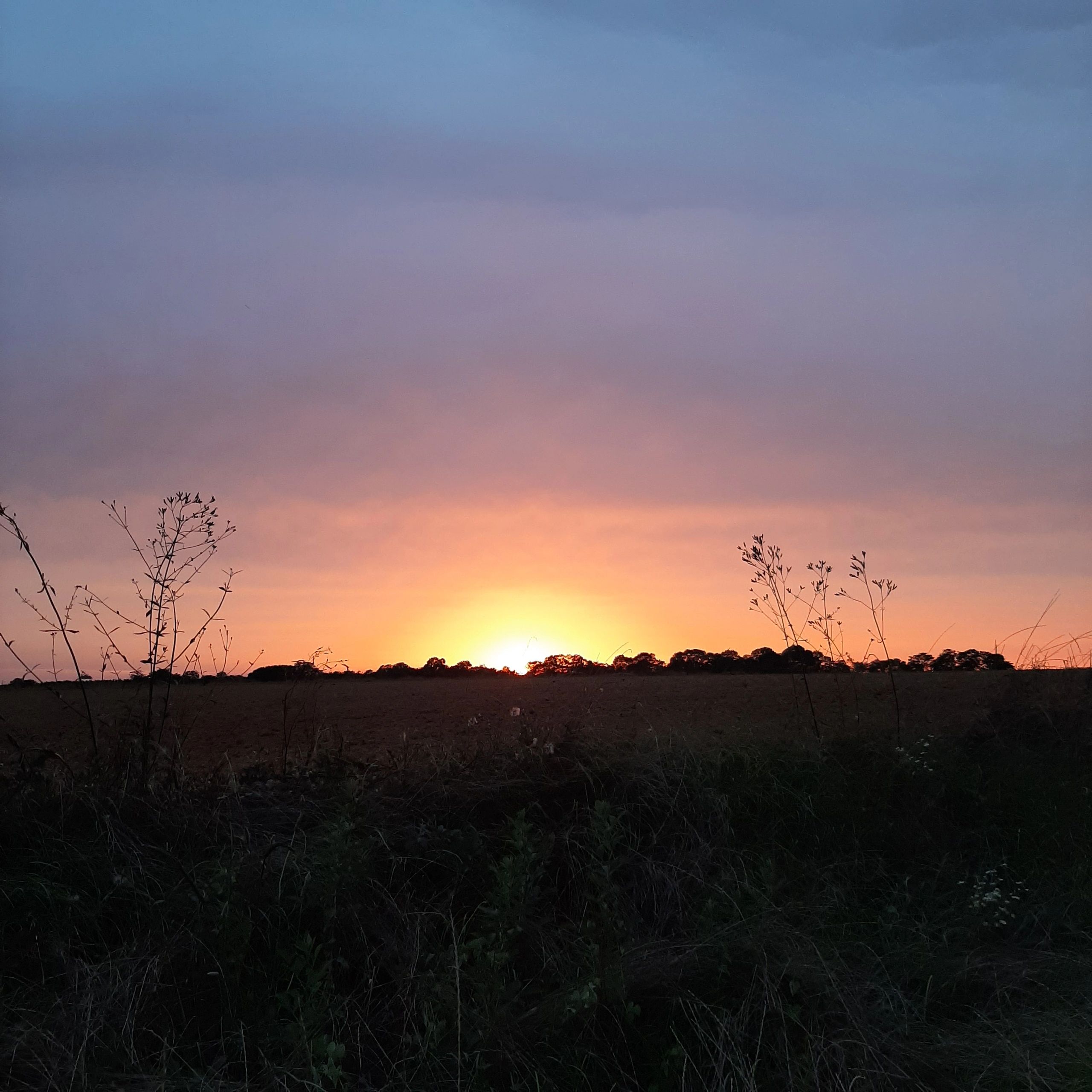 Town of Pinckard Home