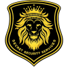 Secret Security Services Ltd.