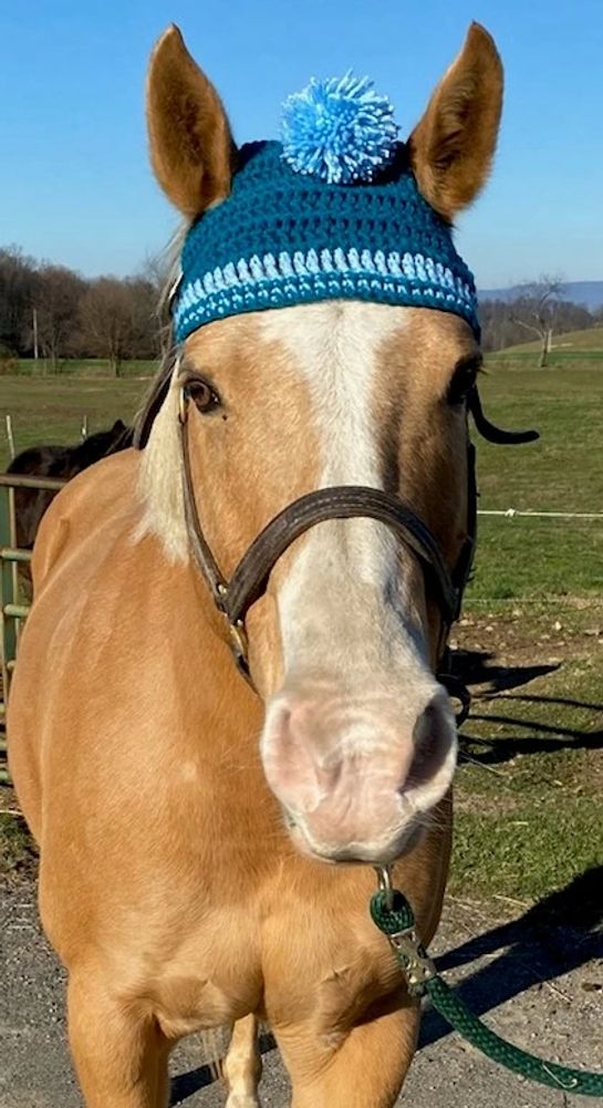 The Horse Hat Shack