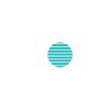 Icon Security Inc.