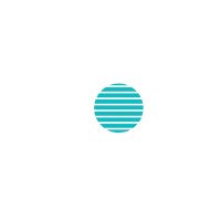 Icon Security Inc.